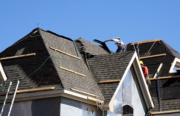 Roof Maintenance